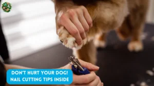 How to Cut Black Dog Nails: In-Depth Guide for Safe Trimming