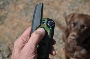 How to Train Your Dog with a Shock Collar