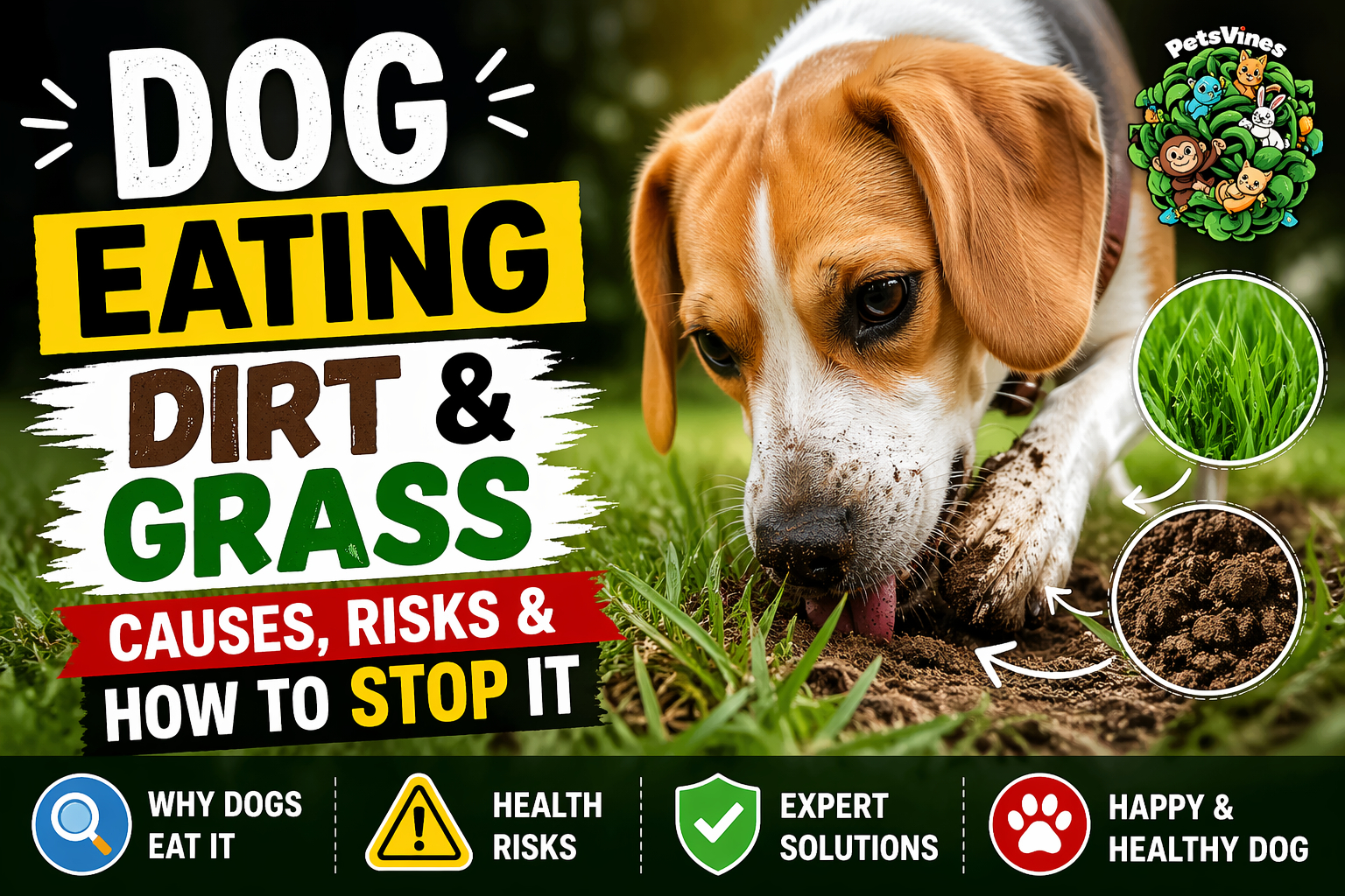 Dog Eating Dirt and Grass: Causes, Risks & How to Stop It