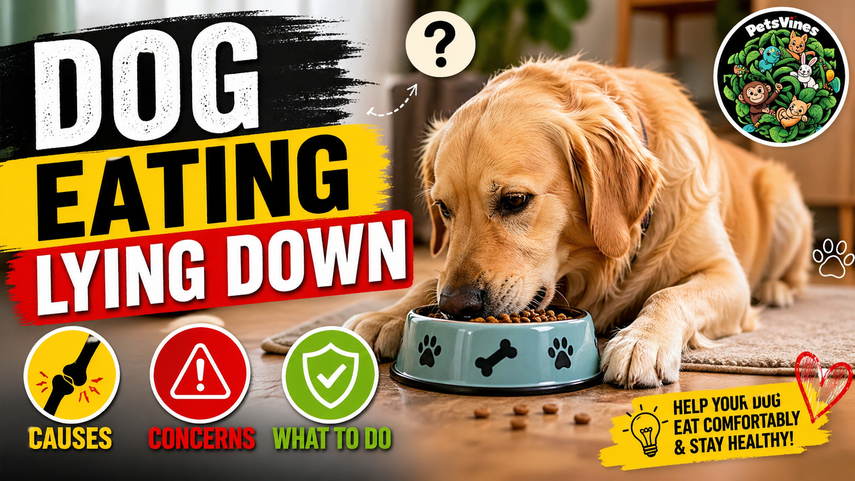 Dog Eating Lying Down: Causes, Concerns & What to Do