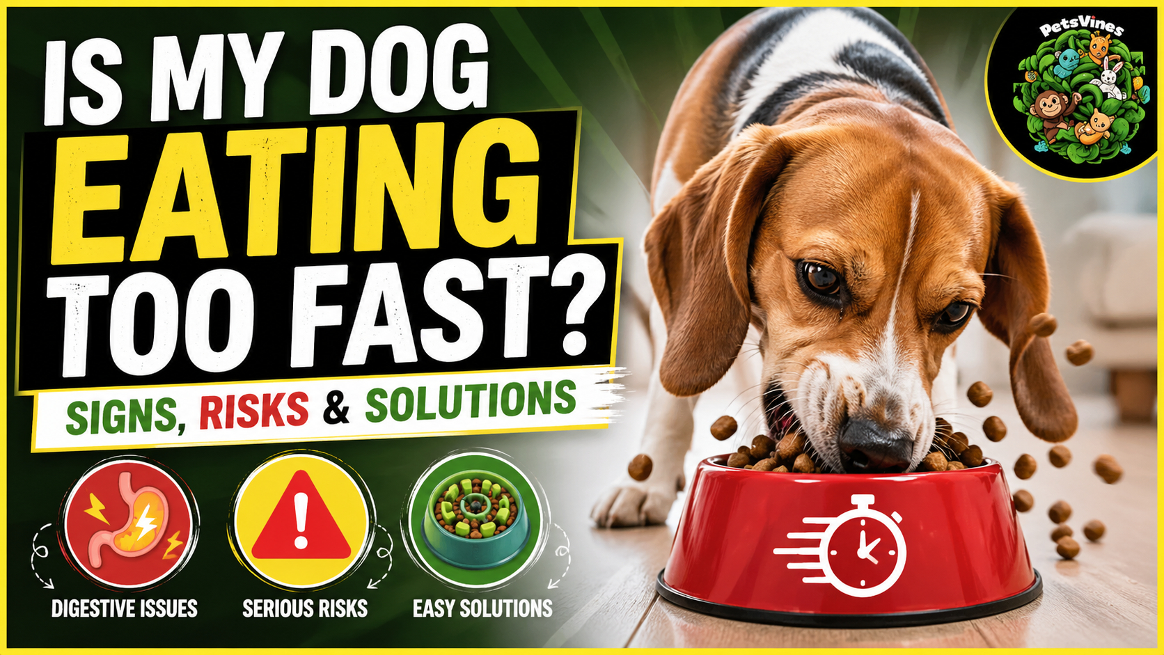 Is My Dog Eating Too Fast? Signs, Risks & Solutions