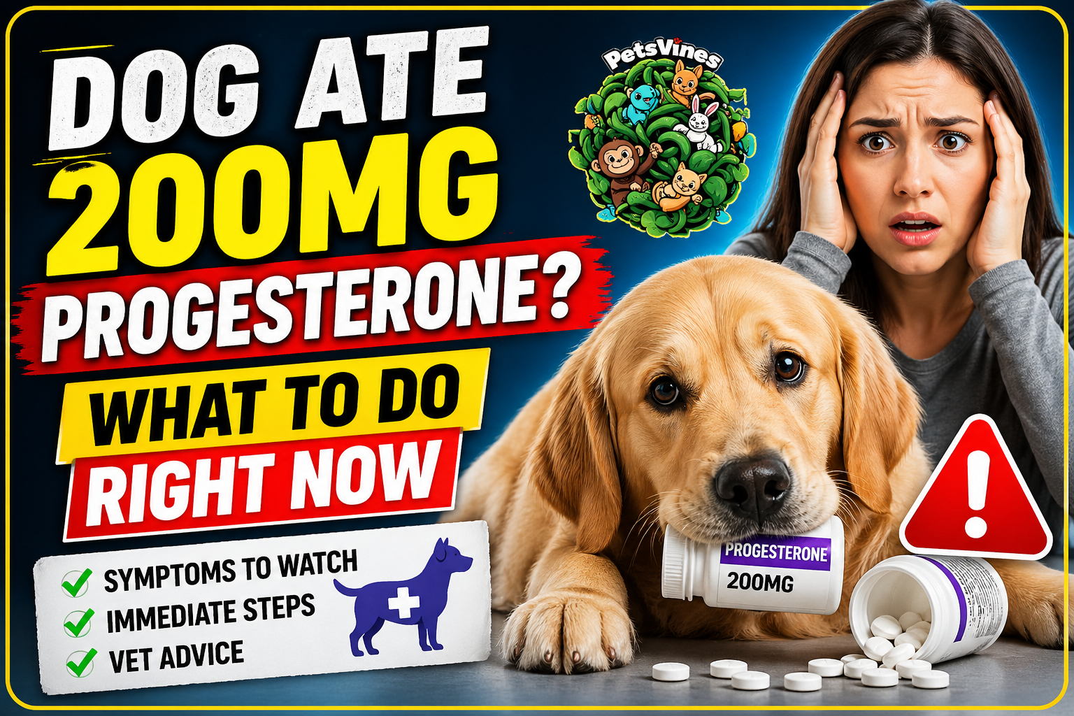 Dog Ate 200mg Progesterone? What to Do Right Now