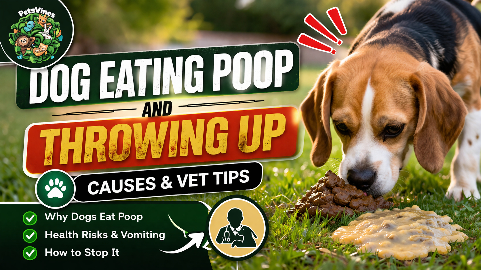 Dog Eating Poop and Throwing Up: Causes & Vet Tips