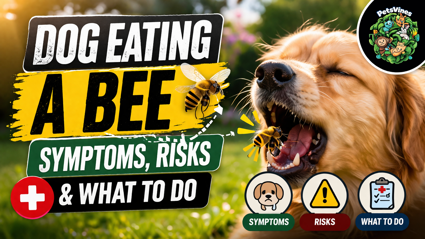 Dog Eating a Bee Symptoms, Risks & What to Do