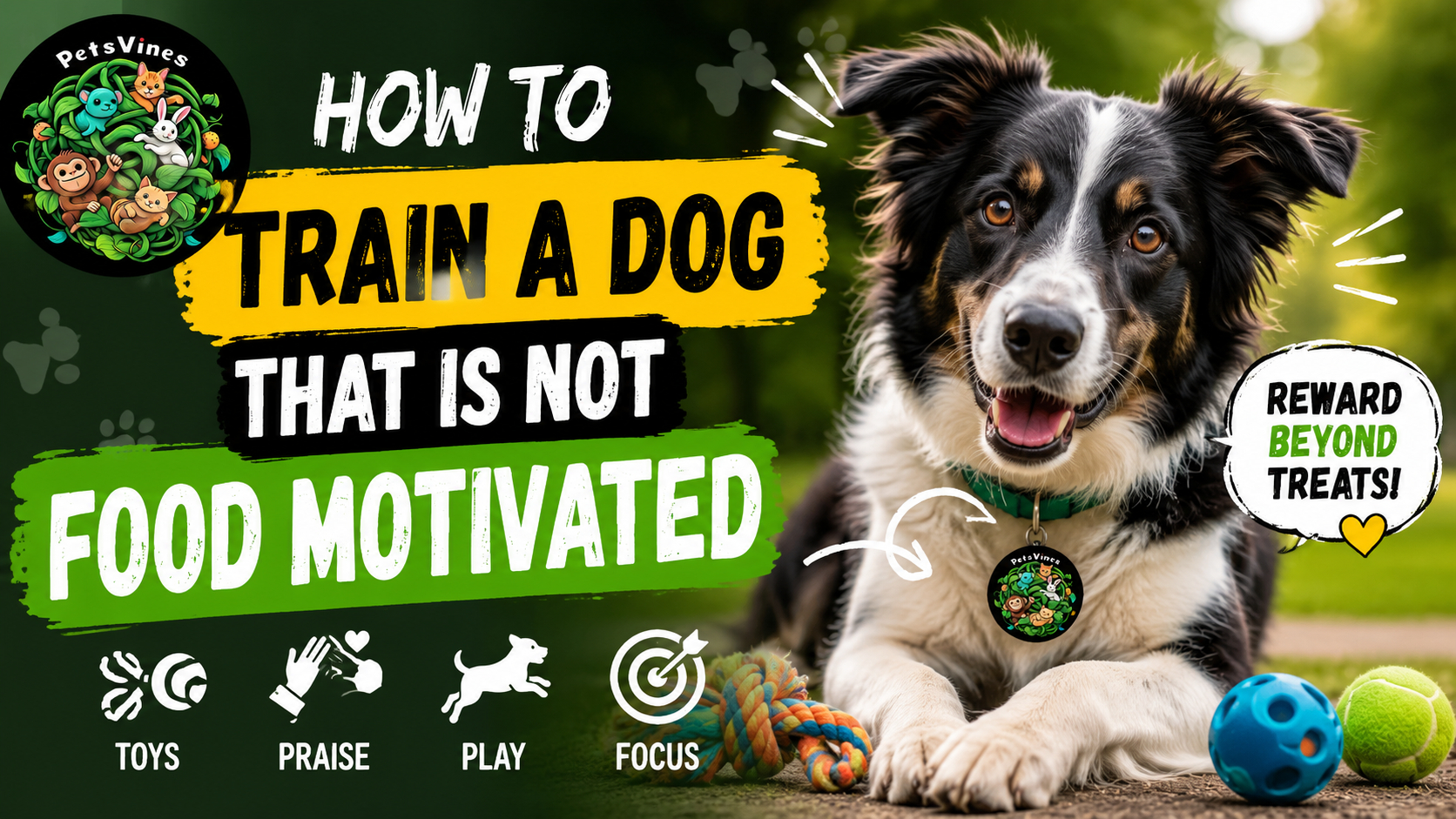 generate youtube thumbnail sized feature image for an article related tot this topic " How to Train a Dog That Is Not Food Motivated"use this logo in this feature image