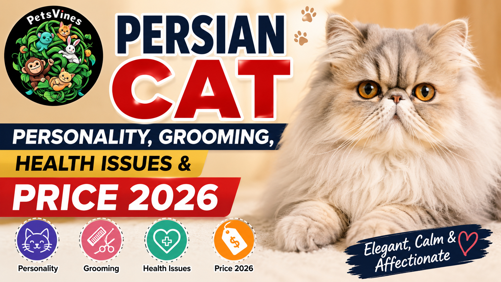 Persian Cat: Personality, Grooming, Health Issues and Price 2026